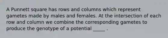 A Punnett square has rows and columns which represent gametes made by males and females. At the intersection of each row and column we combine the corresponding gametes to produce the genotype of a potential _____ .