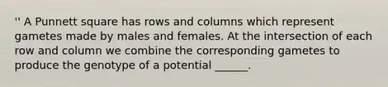 '' A Punnett square has rows and columns which represent gametes made by males and females. At the intersection of each row and column we combine the corresponding gametes to produce the genotype of a potential ______.