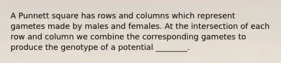 A Punnett square has rows and columns which represent gametes made by males and females. At the intersection of each row and column we combine the corresponding gametes to produce the genotype of a potential ________.