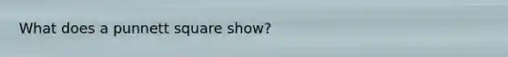 What does a punnett square show?