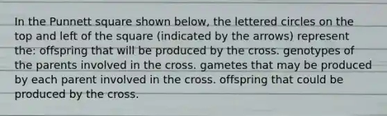 In the Punnett square shown below, the lettered circles on the top and left of the square (indicated by the arrows) represent the: offspring that will be produced by the cross. genotypes of the parents involved in the cross. gametes that may be produced by each parent involved in the cross. offspring that could be produced by the cross.
