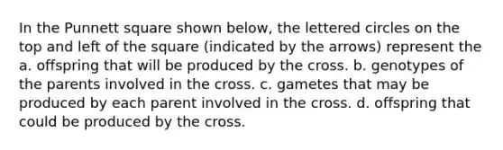 In the Punnett square shown below, the lettered circles on the top and left of the square (indicated by the arrows) represent the a. offspring that will be produced by the cross. b. genotypes of the parents involved in the cross. c. gametes that may be produced by each parent involved in the cross. d. offspring that could be produced by the cross.