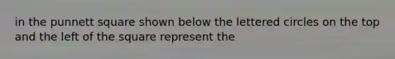 in the punnett square shown below the lettered circles on the top and the left of the square represent the