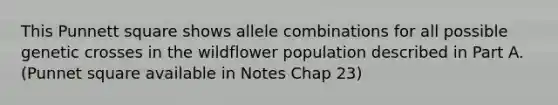 This Punnett square shows allele combinations for all possible genetic crosses in the wildflower population described in Part A. (Punnet square available in Notes Chap 23)