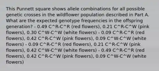 This Punnett square shows allele combinations for all possible genetic crosses in the wildflower population described in Part A. What are the expected genotype frequencies in the offspring generation? - 0.49 C^R-C^R (red flowers), 0.21 C^R-C^W (pink flowers), 0.30 C^W-C^W (white flowers) - 0.09 C^R-C^R (red flowers), 0.42 C^R-C^W (pink flowers), 0.09 C^W-C^W (white flowers) - 0.09 C^R-C^R (red flowers), 0.21 C^R-C^W (pink flowers), 0.42 C^W-C^W (white flowers) - 0.49 C^R-C^R (red flowers), 0.42 C^R-C^W (pink flowers), 0.09 C^W-C^W (white flowers)