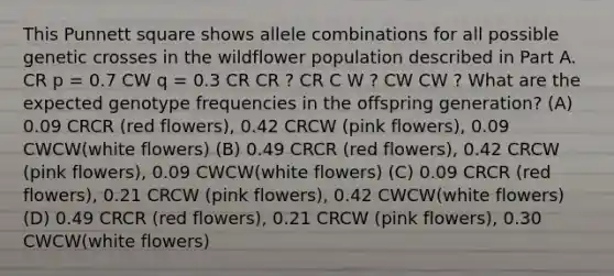 This Punnett square shows allele combinations for all possible genetic crosses in the wildflower population described in Part A. CR p = 0.7 CW q = 0.3 CR CR ? CR C W ? CW CW ? What are the expected genotype frequencies in the offspring generation? (A) 0.09 CRCR (red flowers), 0.42 CRCW (pink flowers), 0.09 CWCW(white flowers) (B) 0.49 CRCR (red flowers), 0.42 CRCW (pink flowers), 0.09 CWCW(white flowers) (C) 0.09 CRCR (red flowers), 0.21 CRCW (pink flowers), 0.42 CWCW(white flowers) (D) 0.49 CRCR (red flowers), 0.21 CRCW (pink flowers), 0.30 CWCW(white flowers)