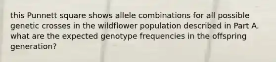 this Punnett square shows allele combinations for all possible genetic crosses in the wildflower population described in Part A. what are the expected genotype frequencies in the offspring generation?