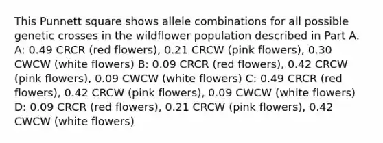 This Punnett square shows allele combinations for all possible genetic crosses in the wildflower population described in Part A. A: 0.49 CRCR (red flowers), 0.21 CRCW (pink flowers), 0.30 CWCW (white flowers) B: 0.09 CRCR (red flowers), 0.42 CRCW (pink flowers), 0.09 CWCW (white flowers) C: 0.49 CRCR (red flowers), 0.42 CRCW (pink flowers), 0.09 CWCW (white flowers) D: 0.09 CRCR (red flowers), 0.21 CRCW (pink flowers), 0.42 CWCW (white flowers)