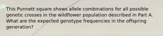 This Punnett square shows allele combinations for all possible genetic crosses in the wildflower population described in Part A. What are the expected genotype frequencies in the offspring generation?