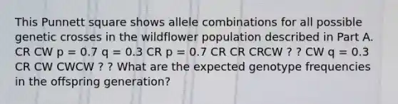 This Punnett square shows allele combinations for all possible genetic crosses in the wildflower population described in Part A. CR CW p = 0.7 q = 0.3 CR p = 0.7 CR CR CRCW ? ? CW q = 0.3 CR CW CWCW ? ? What are the expected genotype frequencies in the offspring generation?