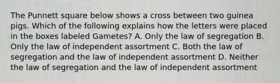 The Punnett square below shows a cross between two guinea pigs. Which of the following explains how the letters were placed in the boxes labeled Gametes? A. Only the law of segregation B. Only the law of independent assortment C. Both the law of segregation and the law of independent assortment D. Neither the law of segregation and the law of independent assortment