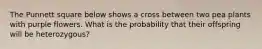 The Punnett square below shows a cross between two pea plants with purple flowers. What is the probability that their offspring will be heterozygous?