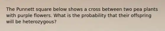 The Punnett square below shows a cross between two pea plants with purple flowers. What is the probability that their offspring will be heterozygous?