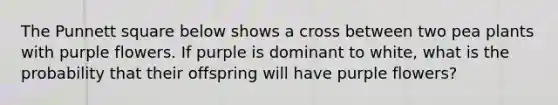 The Punnett square below shows a cross between two pea plants with purple flowers. If purple is dominant to white, what is the probability that their offspring will have purple flowers?