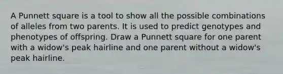 A Punnett square is a tool to show all the possible combinations of alleles from two parents. It is used to predict genotypes and phenotypes of offspring. Draw a Punnett square for one parent with a widow's peak hairline and one parent without a widow's peak hairline.