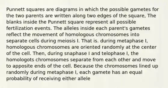 Punnett squares are diagrams in which the possible gametes for the two parents are written along two edges of the square, The blanks inside the Punnett square represent all possible fertilization events. The alleles inside each parent's gametes reflect the movement of homologous chromosomes into separate cells during meiosis I. That is. during metaphase I, homologous chromosomes are oriented randomly at the center of the cell. Then, during snaphase I and telophase I, the homologots chromosomes separate from each other and move to apposite ends of the cell. Because the chromosomes lined up randomly during metaphase I, each gamete has an equal probability of receiving either allele