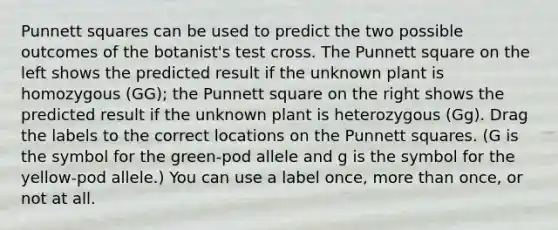 Punnett squares can be used to predict the two possible outcomes of the botanist's test cross. The Punnett square on the left shows the predicted result if the unknown plant is homozygous (GG); the Punnett square on the right shows the predicted result if the unknown plant is heterozygous (Gg). Drag the labels to the correct locations on the Punnett squares. (G is the symbol for the green-pod allele and g is the symbol for the yellow-pod allele.) You can use a label once, more than once, or not at all.