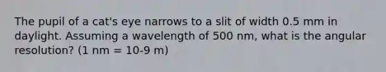 The pupil of a cat's eye narrows to a slit of width 0.5 mm in daylight. Assuming a wavelength of 500 nm, what is the angular resolution? (1 nm = 10-9 m)