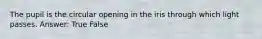The pupil is the circular opening in the iris through which light passes. Answer: True False
