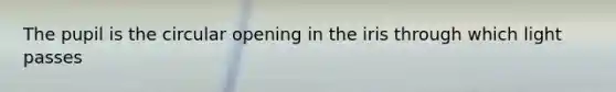 The pupil is the circular opening in the iris through which light passes