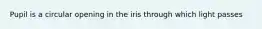 Pupil is a circular opening in the iris through which light passes