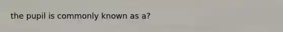 the pupil is commonly known as a?