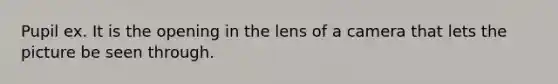 Pupil ex. It is the opening in the lens of a camera that lets the picture be seen through.