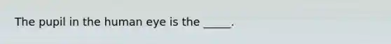 The pupil in the human eye is the _____.