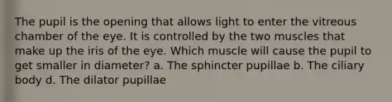 The pupil is the opening that allows light to enter the vitreous chamber of the eye. It is controlled by the two muscles that make up the iris of the eye. Which muscle will cause the pupil to get smaller in diameter? a. The sphincter pupillae b. The ciliary body d. The dilator pupillae