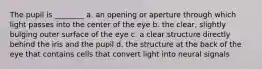 The pupil is ________ a. an opening or aperture through which light passes into the center of the eye b. the clear, slightly bulging outer surface of the eye c. a clear structure directly behind the iris and the pupil d. the structure at the back of the eye that contains cells that convert light into neural signals