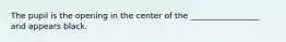 The pupil is the opening in the center of the _________________ and appears black.
