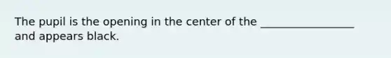 The pupil is the opening in the center of the _________________ and appears black.