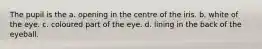 The pupil is the a. opening in the centre of the iris. b. white of the eye. c. coloured part of the eye. d. lining in the back of the eyeball.