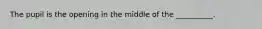 The pupil is the opening in the middle of the __________.