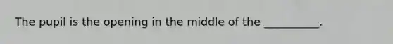 The pupil is the opening in the middle of the __________.