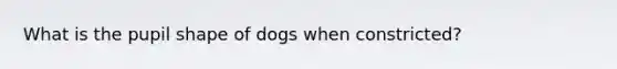 What is the pupil shape of dogs when constricted?