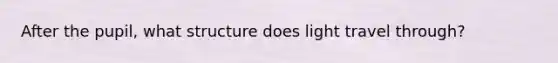 After the pupil, what structure does light travel through?
