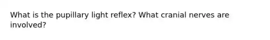 What is the pupillary light reflex? What cranial nerves are involved?