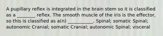 A pupillary reflex is integrated in the brain stem so it is classified as a ________ reflex. The smooth muscle of the iris is the effector, so this is classified as a(n) ___________. Spinal; somatic Spinal; autonomic Cranial; somatic Cranial; autonomic Spinal; visceral