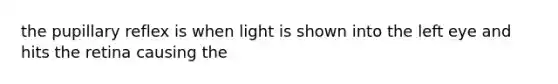 the pupillary reflex is when light is shown into the left eye and hits the retina causing the