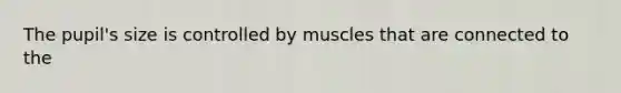 The pupil's size is controlled by muscles that are connected to the