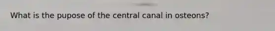 What is the pupose of the central canal in osteons?