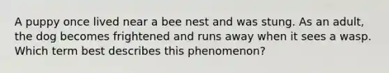 A puppy once lived near a bee nest and was stung. As an adult, the dog becomes frightened and runs away when it sees a wasp. Which term best describes this phenomenon?