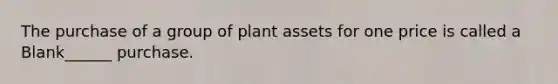 The purchase of a group of plant assets for one price is called a Blank______ purchase.