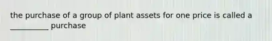 the purchase of a group of plant assets for one price is called a __________ purchase