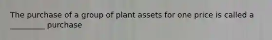 The purchase of a group of plant assets for one price is called a _________ purchase