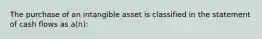 The purchase of an intangible asset is classified in the statement of cash flows as a(n):