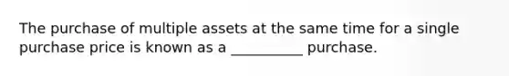 The purchase of multiple assets at the same time for a single purchase price is known as a __________ purchase.