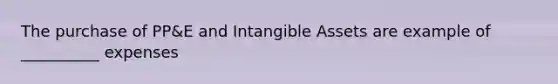 The purchase of PP&E and <a href='https://www.questionai.com/knowledge/kfaeAOzavC-intangible-assets' class='anchor-knowledge'>intangible assets</a> are example of __________ expenses