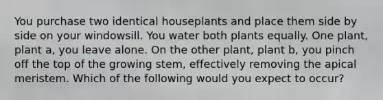 You purchase two identical houseplants and place them side by side on your windowsill. You water both plants equally. One plant, plant a, you leave alone. On the other plant, plant b, you pinch off the top of the growing stem, effectively removing the apical meristem. Which of the following would you expect to occur?